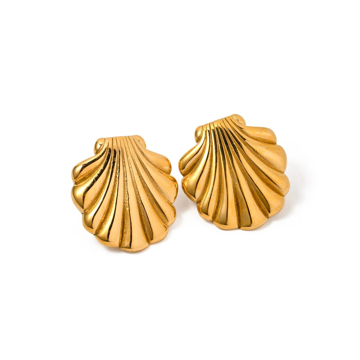 Gold Shell Stud Earrings