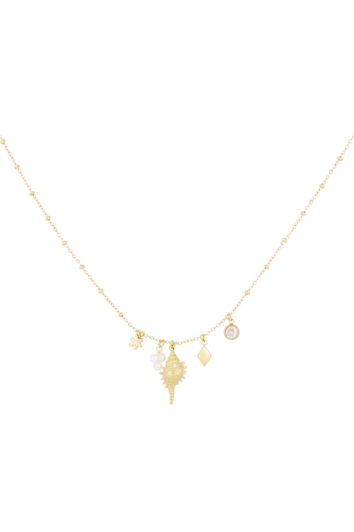 Coastal Charm - Murex Shell Gold Necklace