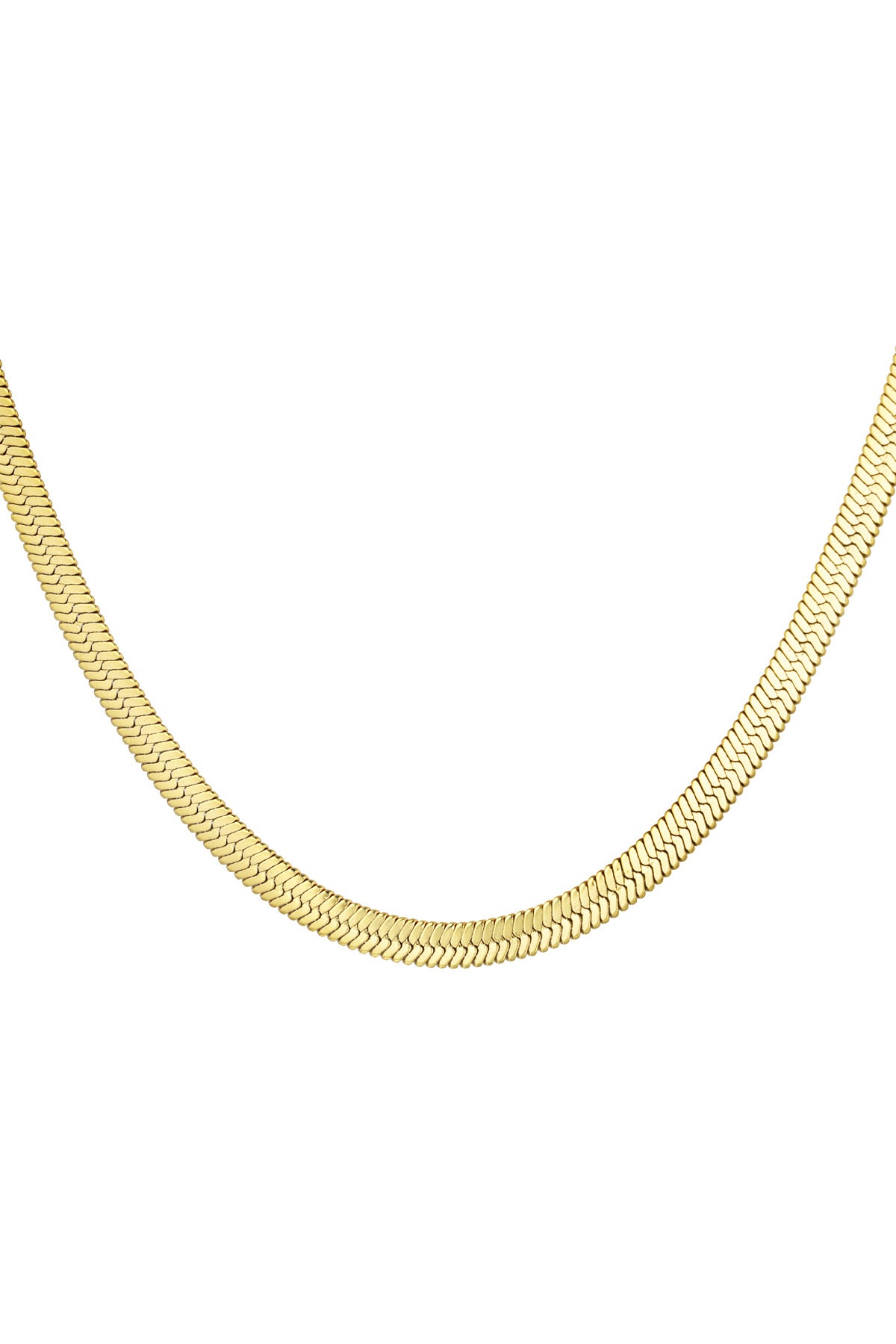 Gold Flat Chain Necklace