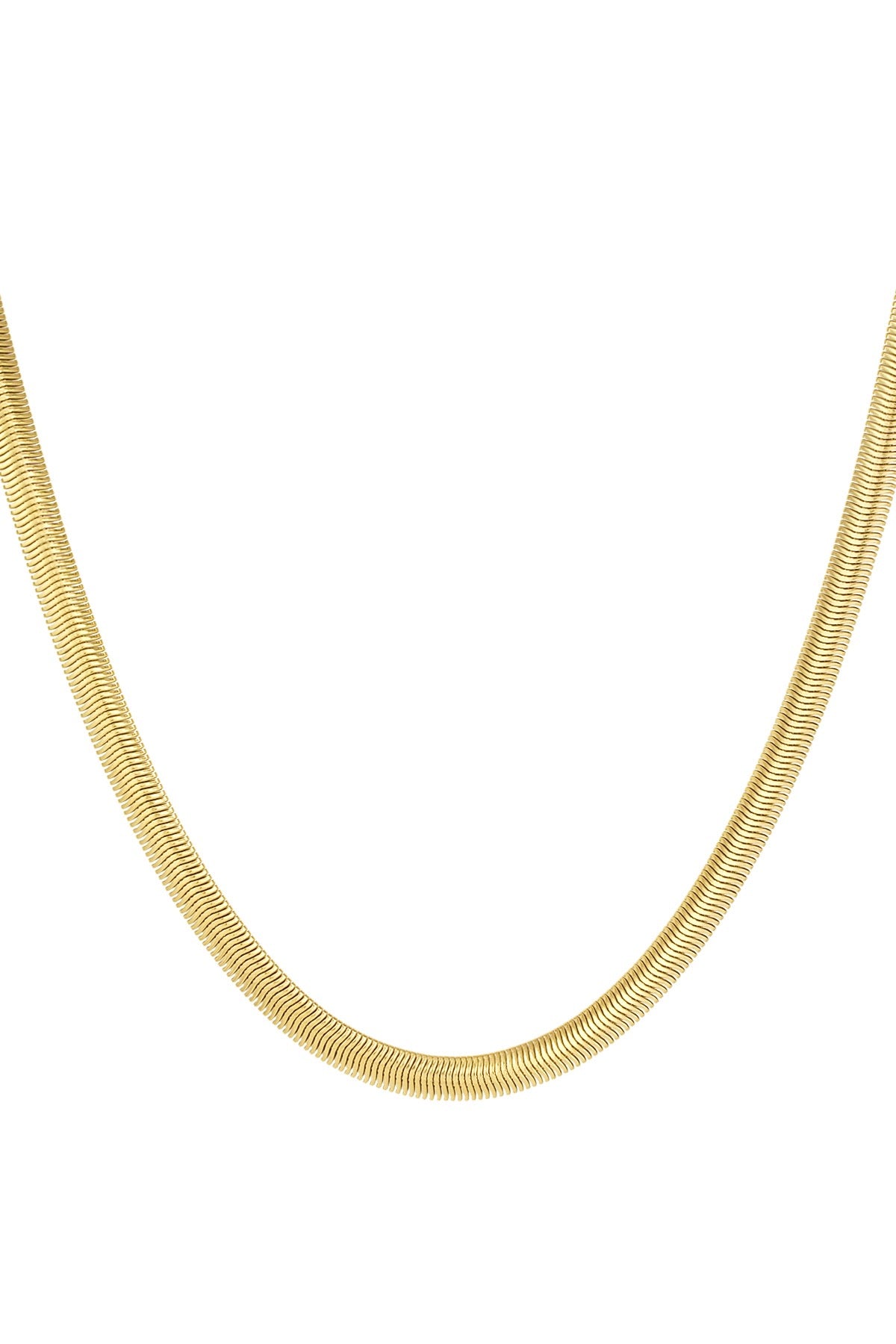 Flat Chain Gold Necklace